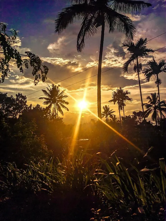 Kichus Homestay Kattappana