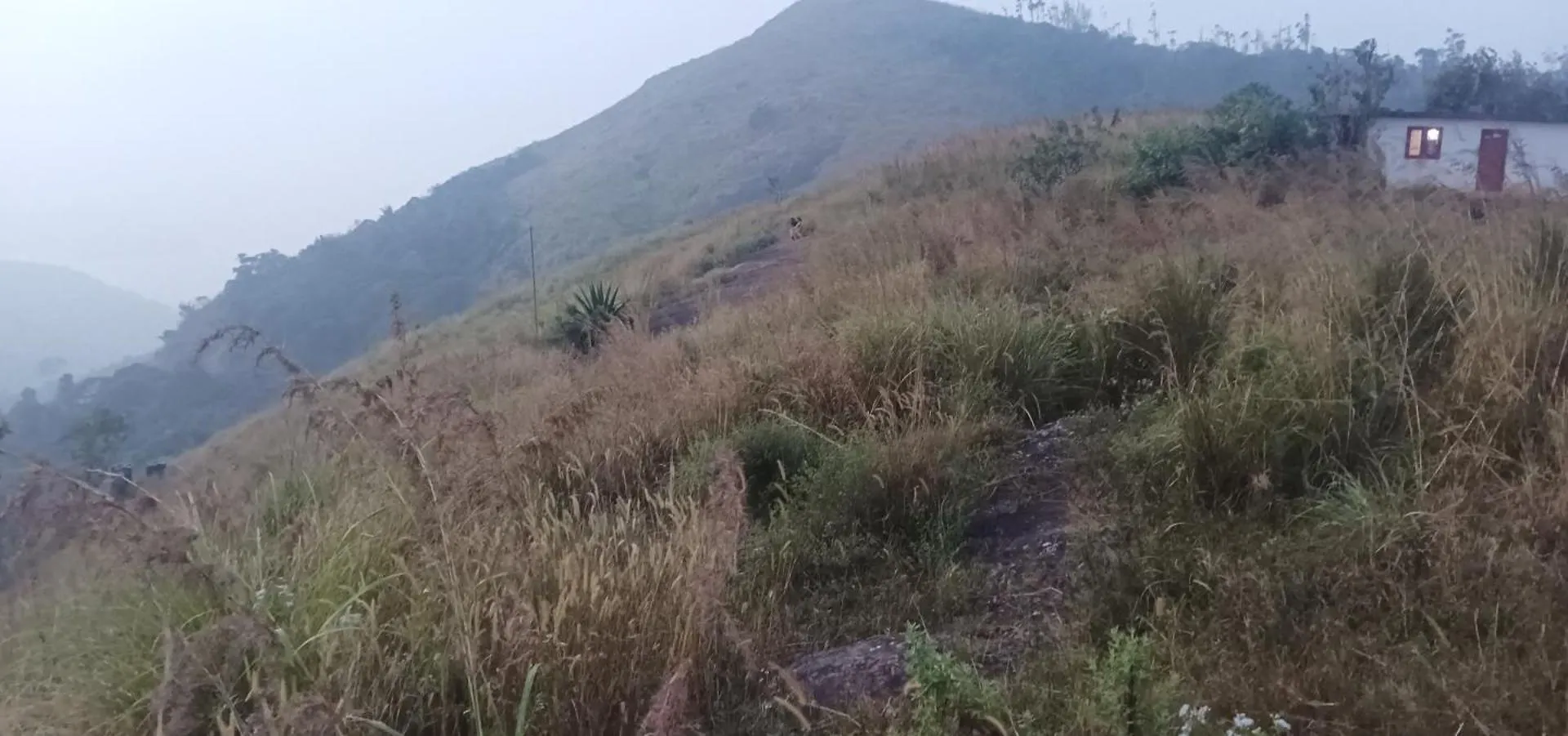 Kichus Homestay Kattappana